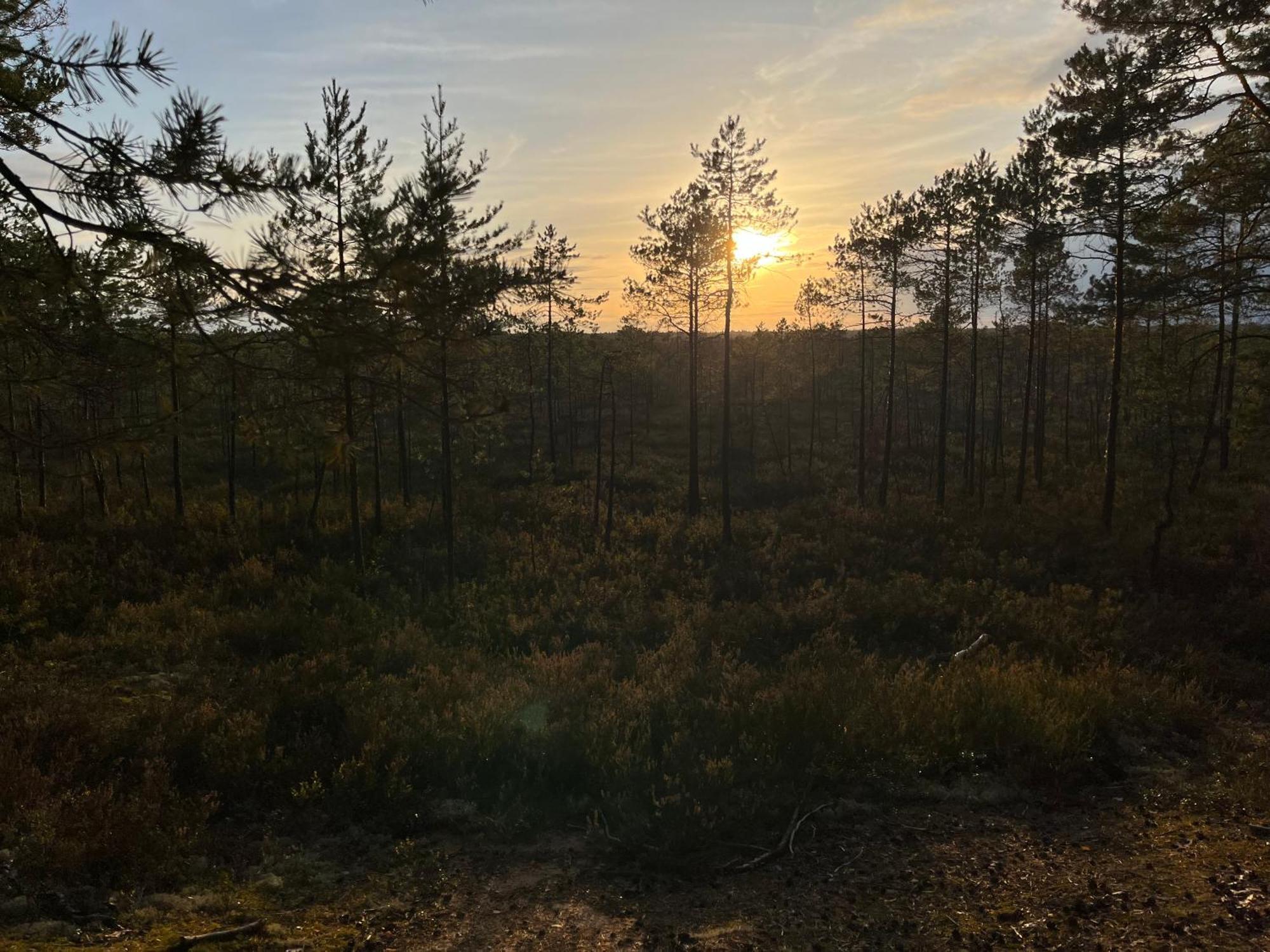 Auglu Ielas Pirts Maja Jūrkalne Exteriör bild